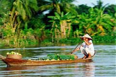 ca mau vietnam