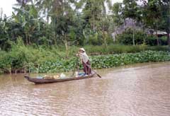 mekong